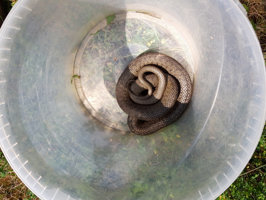 NarrRistTürk - Landschaftsarchitekten BDLA, Stadtplaner & Ingenieure